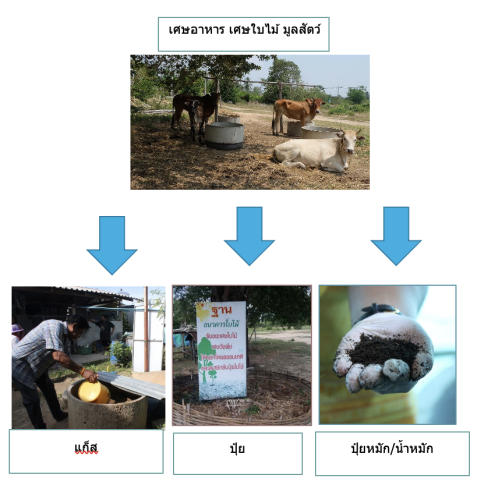 การจัดการขยะมูลฝอยทั้ง 4 ประเภท อย่างมีประสิทธิภาพ